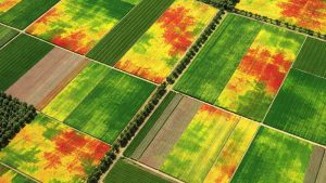 شاخص های ماهواره ای
