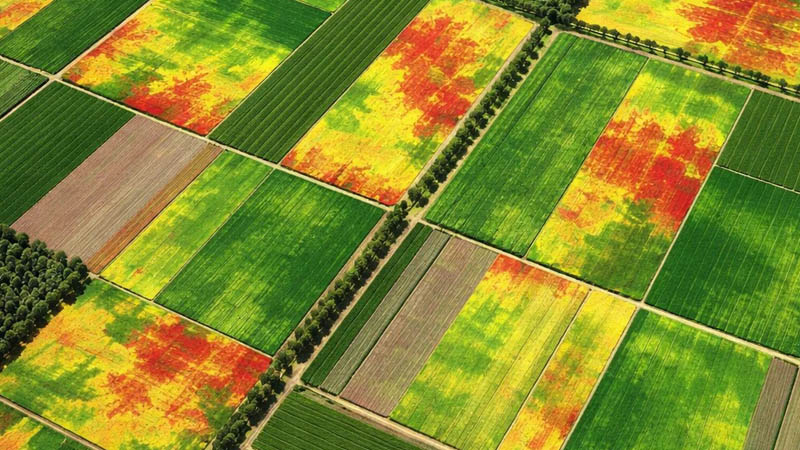 شاخص های ماهواره ای