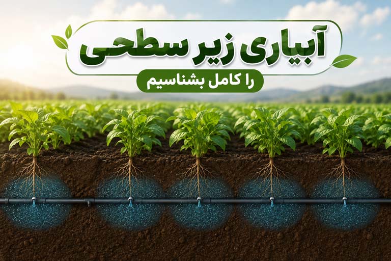 سیستم آبیاری قطره ای زیرسطحی SDI در مزرعه