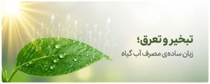 تبخیر و تعرق گیاه ET