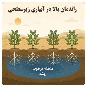 راندمان بالا در آبیاری زیرسطحی