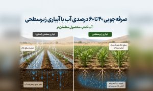 صرفه جویی در آبیاری زیرسطحی