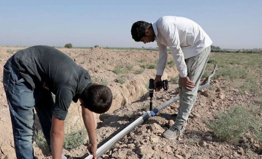 نصب تیپ آبیاری زیرسطحی